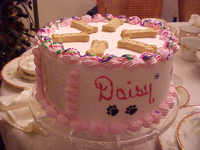 Pet Photo Cake (For Changing Photos)