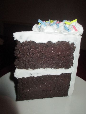 Pastel Sprinkled Chocolate cake slice