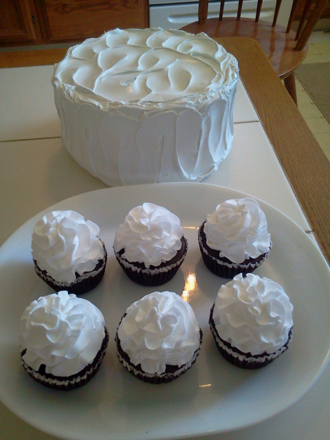 Fluffy White Frosted Cupcakes