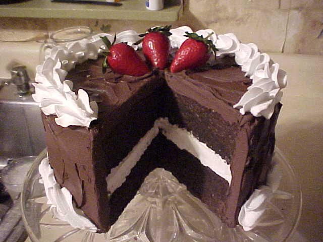 Luscious Chocolate with Vanilla Cake