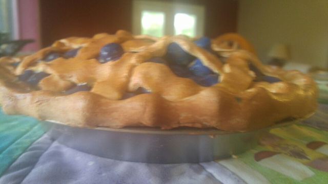 Overstuffed Blueberry Pie Plain top
