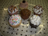 Assorted toppings cupcakes