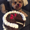 Even this little Cutie loves this cake!